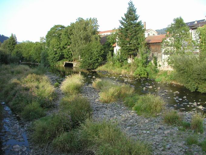 Waldkirch im Elztal