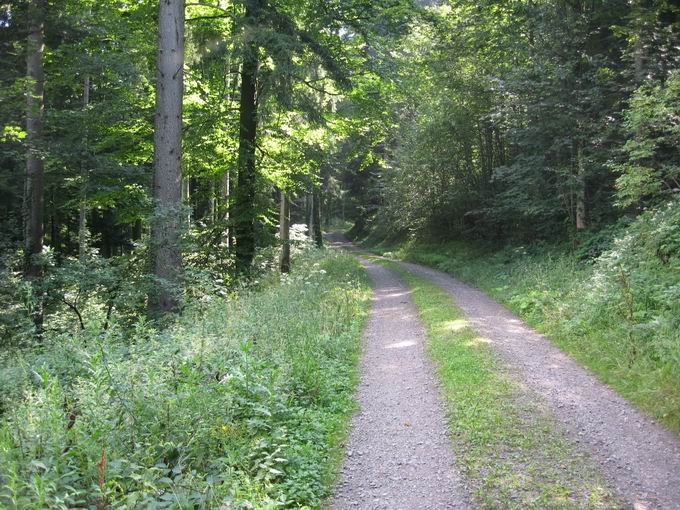 Hugenwald: Schwarzenbergweg