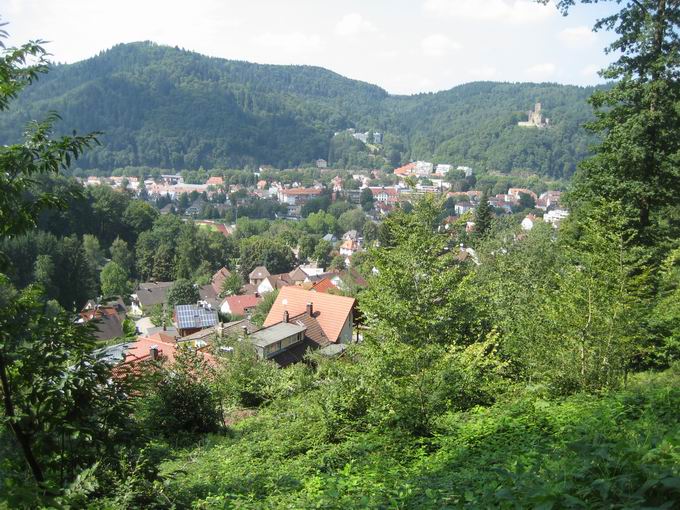 Hugenwald: Waldkirch