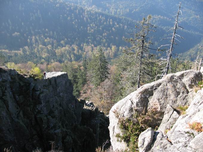 Elztal im Schwarzwald