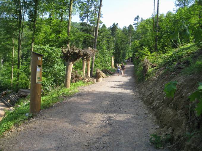 Naturerlebnispark Waldkirch