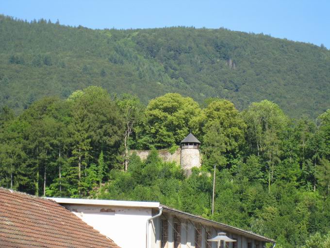 Burg Werrach