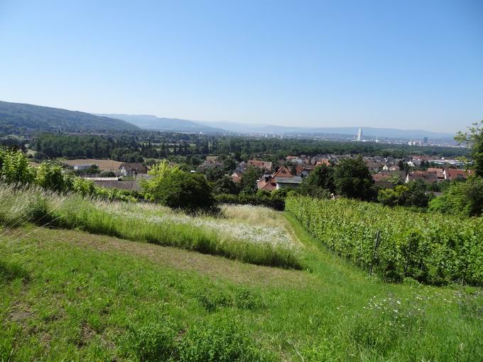 Weil am Rhein - Stadt der Sthle