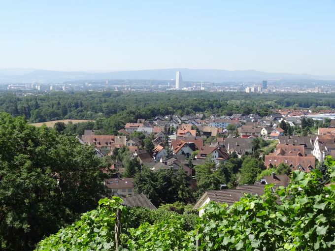 Altweil: Blick Lange Erlen