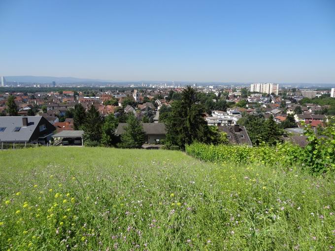 Altweil: Blick Leopoldshfe & Basel