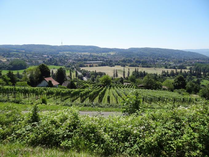 Altweil: Blick Riehen