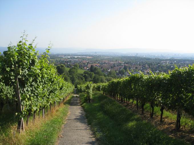 Langgass tlingen: Blick Haltingen