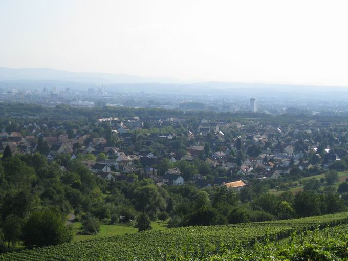 tlingen: Blick Haltingen