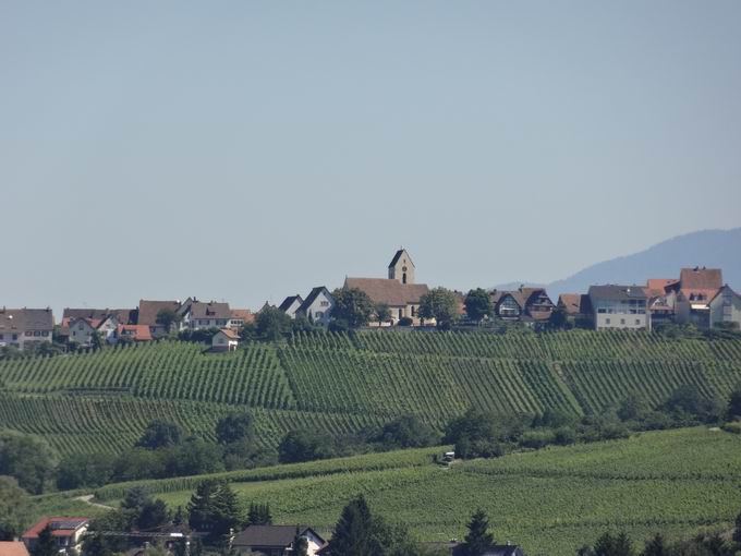 Vitra Rutschturm: Blick tlingen