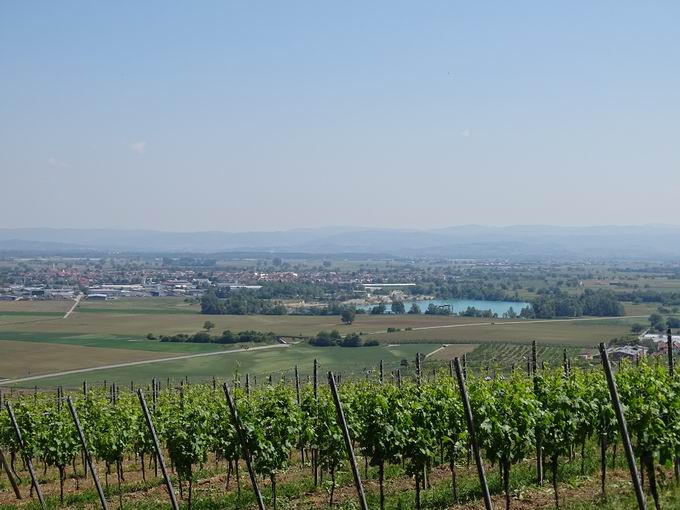 Wyhl
