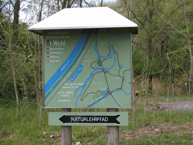 Naturlehrpfad Rheinauewald Wyhl