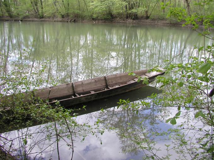 Naturschutzgebiet Rheinniederung Wyhl-Weisweil