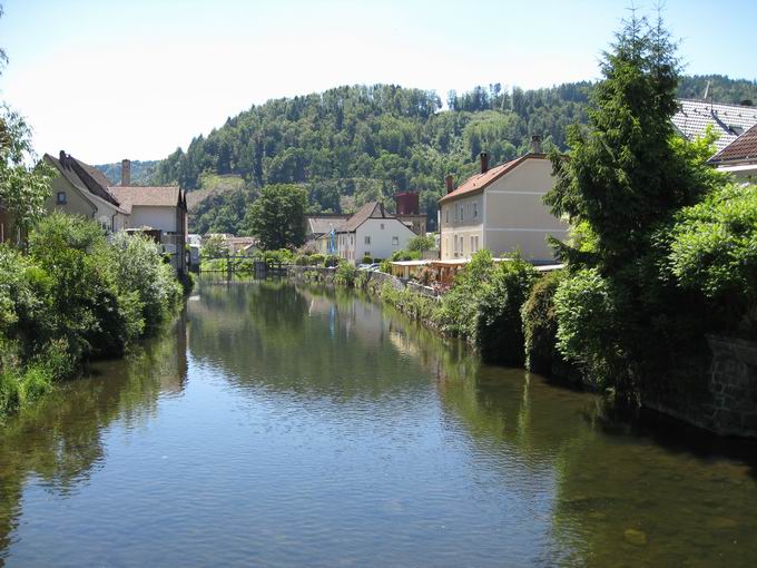 Wiese bei Zell im Wiesental