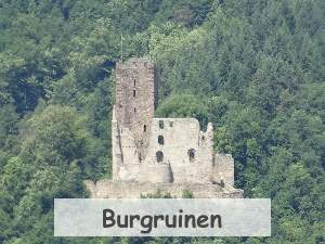 Burgruinen Region