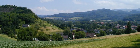 Bollschweil