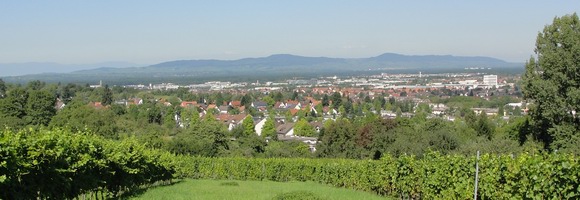 Breisgau