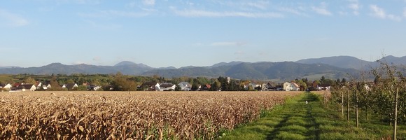 Buggingen im Markgräflerland Buggingen im Markgräflerland
