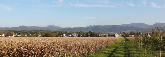 Buggingen im Markgrflerland