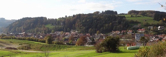 Elzach