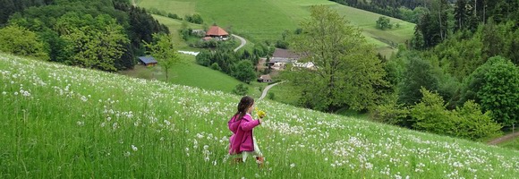 Elztal im Schwarzwald