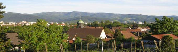 Lehen im Breisgau