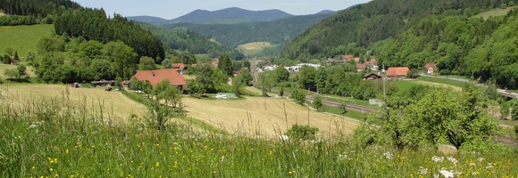 Gutach Schwarzwaldbahn