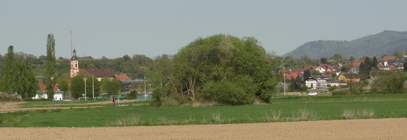 Hohberg Gemeinde Hohberg Gemeinde
