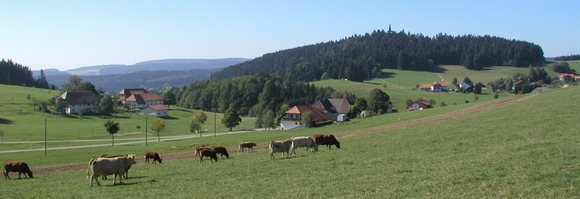 Hotzenwald Hotzenwald