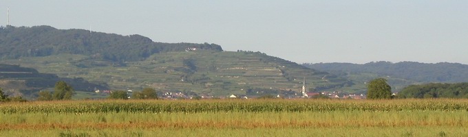 Ihringen am Kaiserstuhl