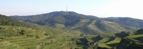 Kaiserstuhl