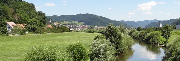 Kinzigtal im Schwarzwald