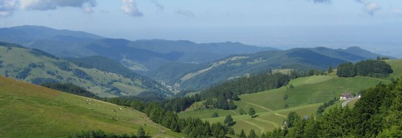 Mnstertal Gemeinde