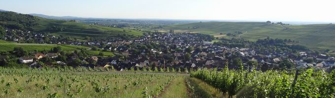Pfaffenweiler im Breisgau