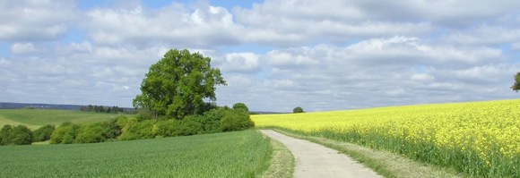 Schwarzwald-Baar-Kreis