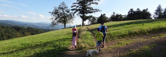 Tourismus in Sdbaden