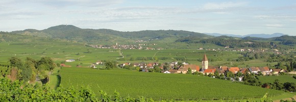 Vogtsburg im Kaiserstuhl