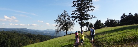 Wandern im deutschen Sdwesten