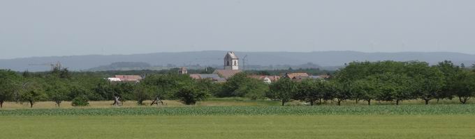 Weisweil im Breisgau