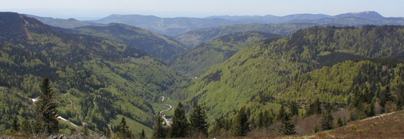Wiesental im Sdschwarzwald