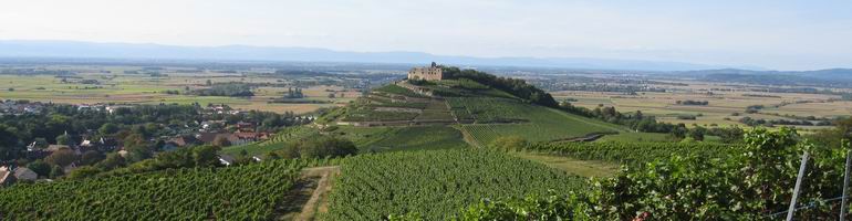 Staufen im Breisgau