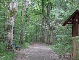 Kapfwald Bad Drrheim