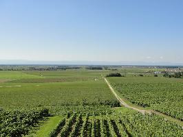 Krozinger Berg: Westblick