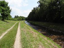 Neumagenbrcke Rebberg Biengen: Sdblick