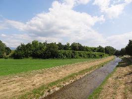 Rebberg Biengen: Nordansicht