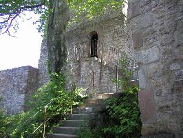 Burg Hohenbaden: Baum Oberburg
