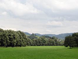 Lichtentaler Allee Baden-Baden: Klosterwiese