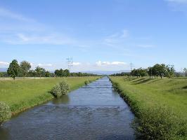 Dreisamkanal Bahlingen