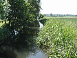 Mühlkanal Bahlingen: Südblick Stadenweg