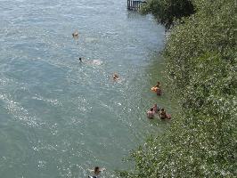 Rheinschwimmen