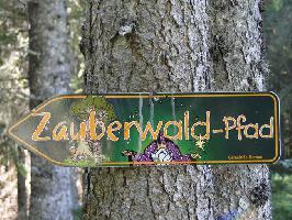 Zauberwald-Pfad Bernau